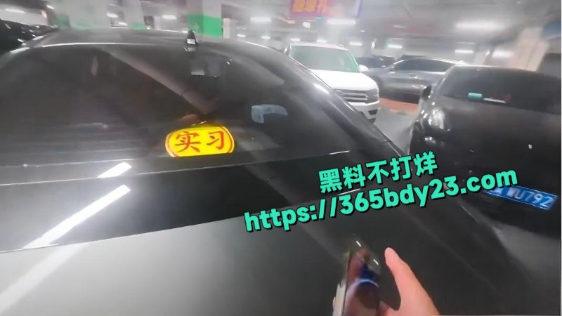 奥特莱斯停车场视频车主碰到阿姨人肉占车位6