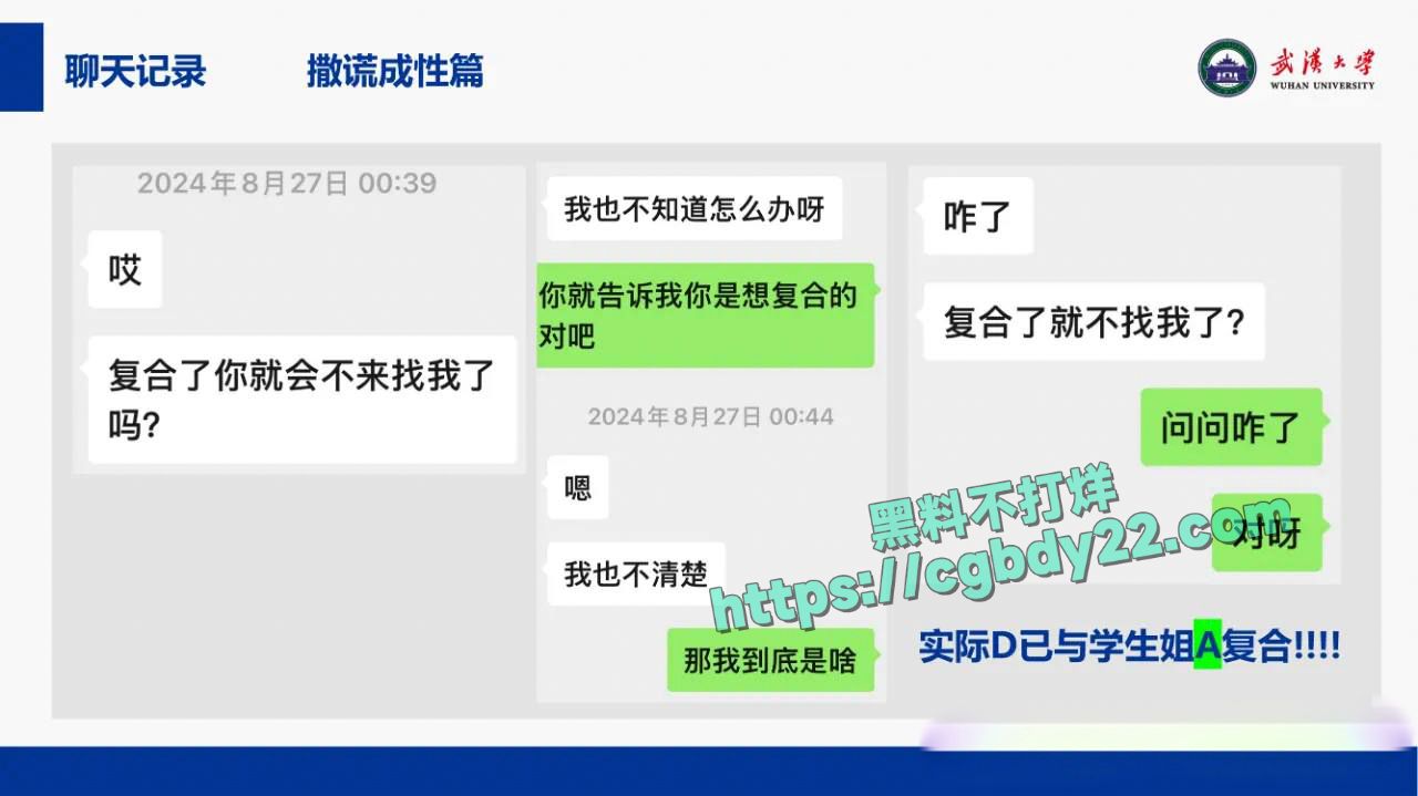 武汉大学副教授段磊出轨多名学生17