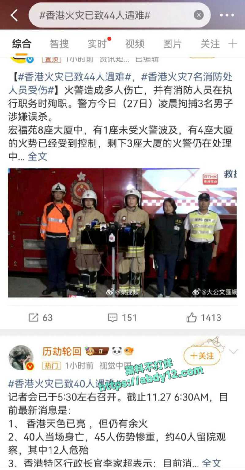 香港大埔宏福苑维修工地起火 3
