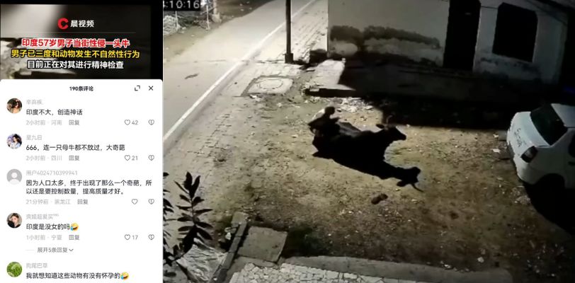 阿三们又搞事了 印度再爆奇葩大瓜 一男子当街强奸母牛被逮捕