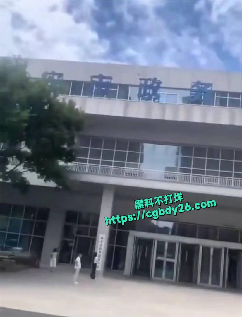 政务服务4