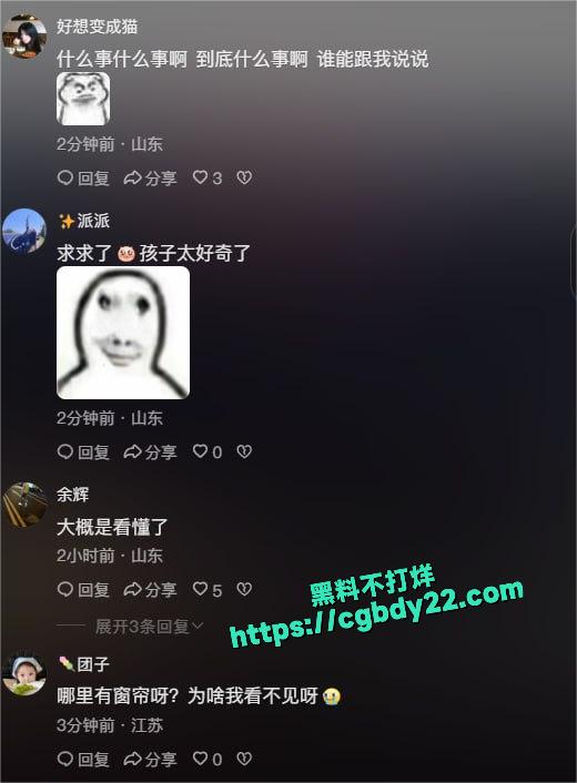 日照安泰国际广场大瓜3