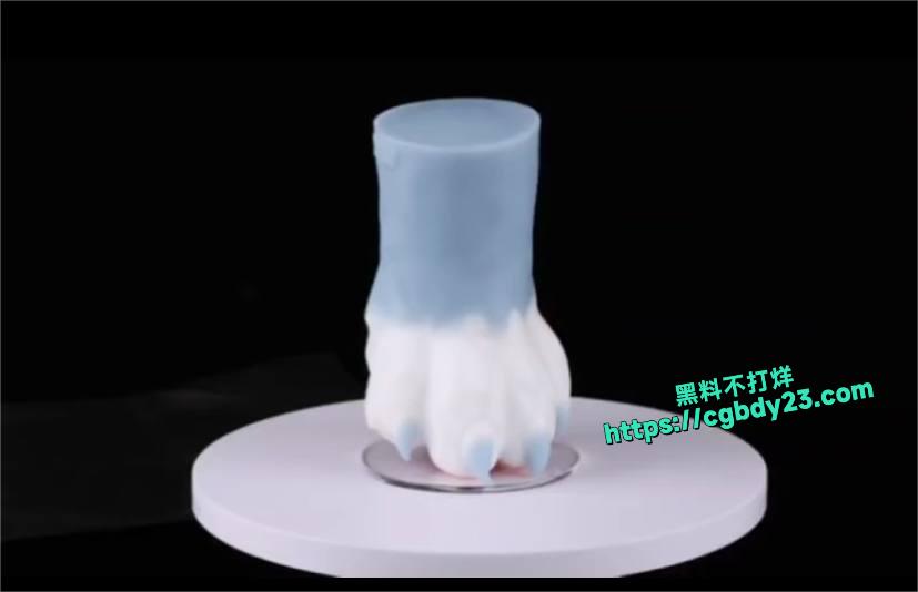 二次元福利兽爪4