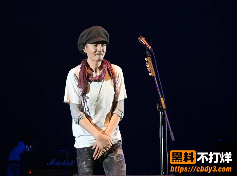 歌手朴树出轨演员王子文11
