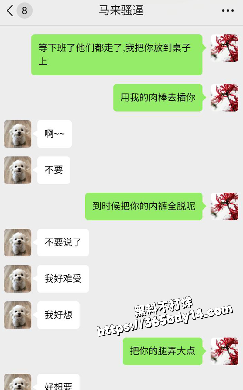 网调马来西亚小妞12