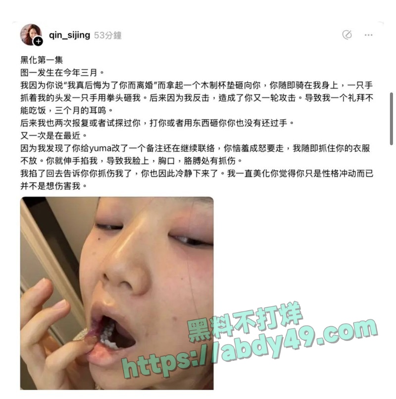 中国女画家秦思静11