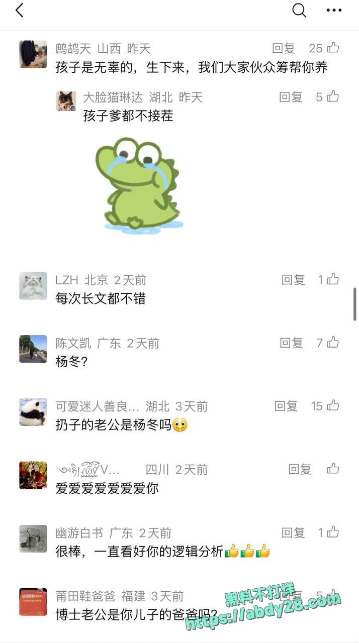 4000点分析师谭珺爆料怀了广发基金杨冬孩子 17