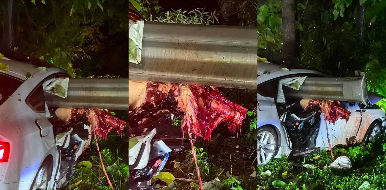 湖州安吉深夜车祸 奥迪跑山失控撞栏 现场惨不忍睹