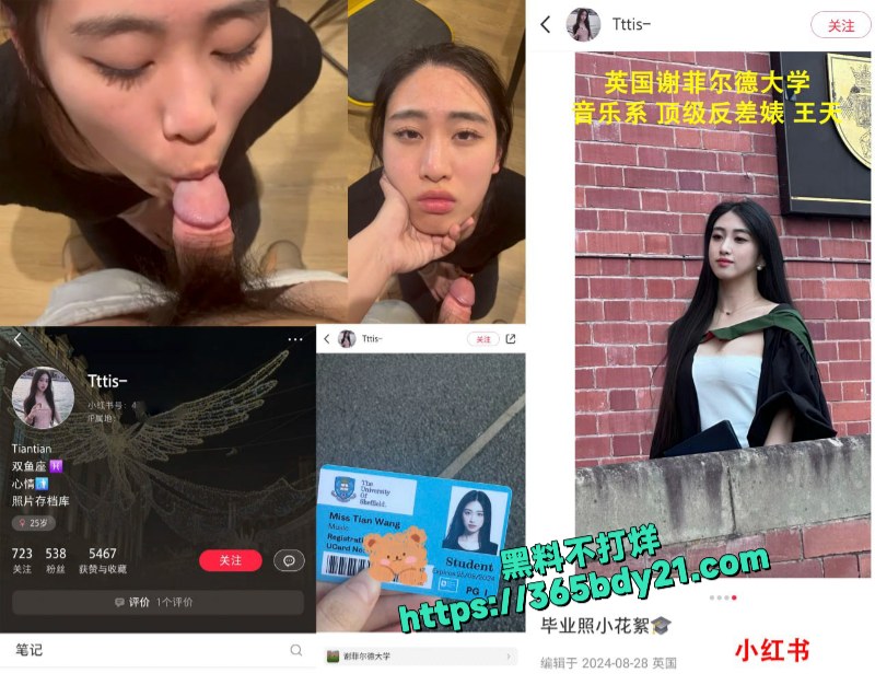 英国谢菲尔德大学绿帽奴贡献顶级留学生女友 5