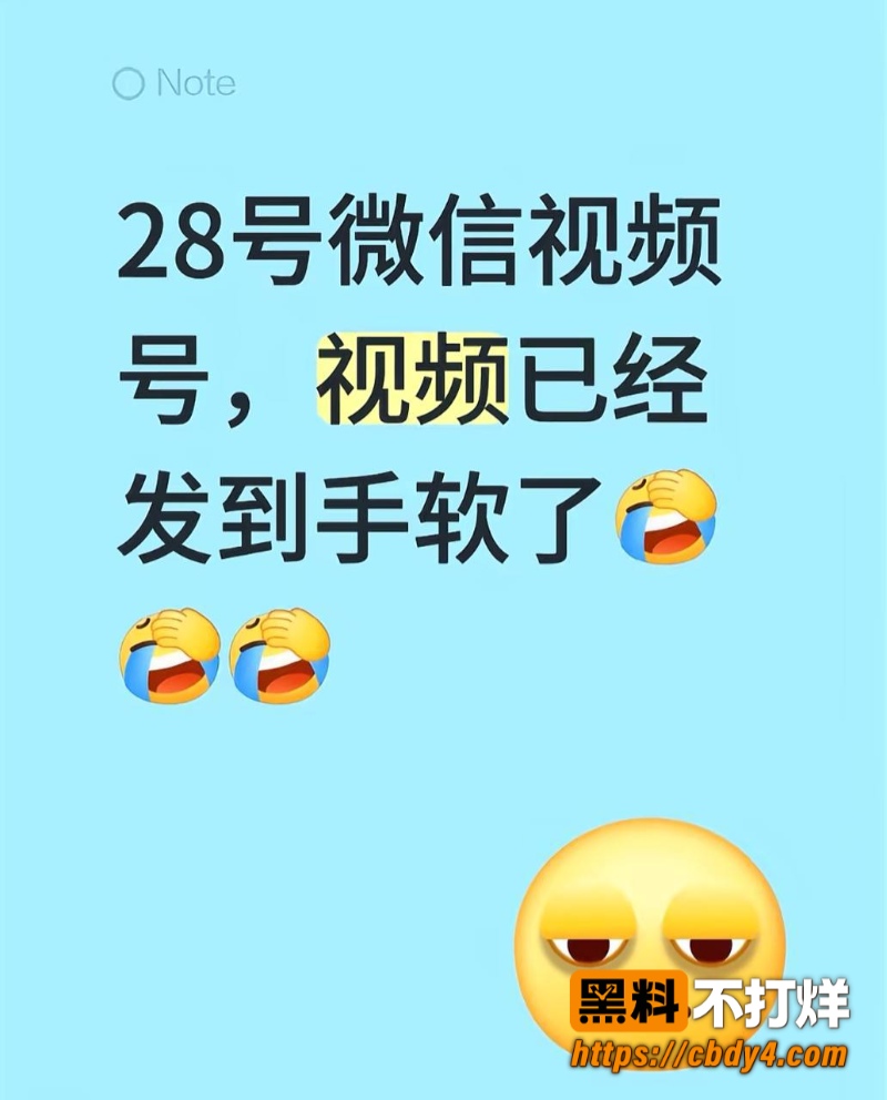 8月28日微信视频号8