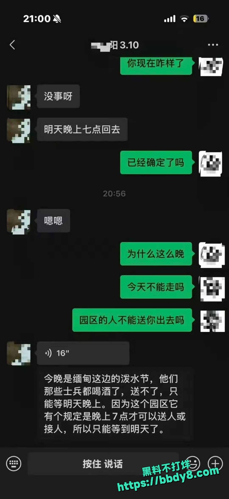 小阳 8