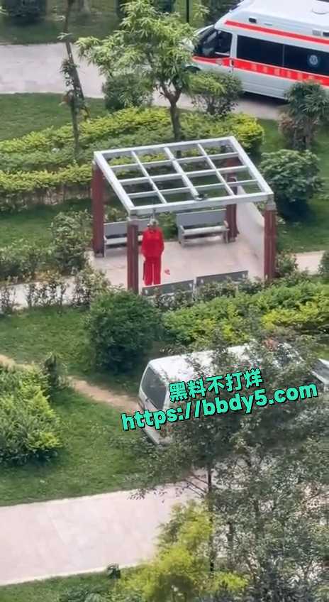 老太上吊3