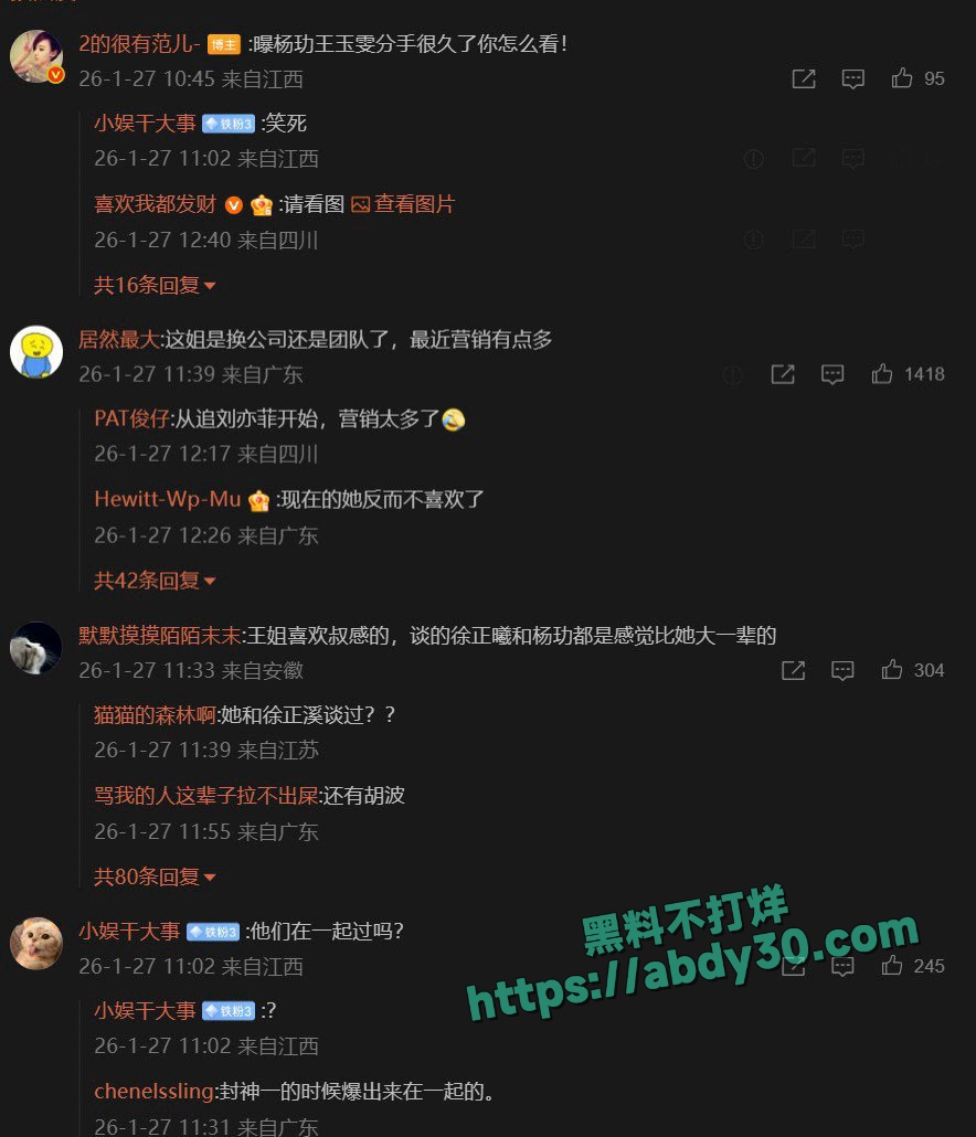 王玉雯杨玏被曝分手 7