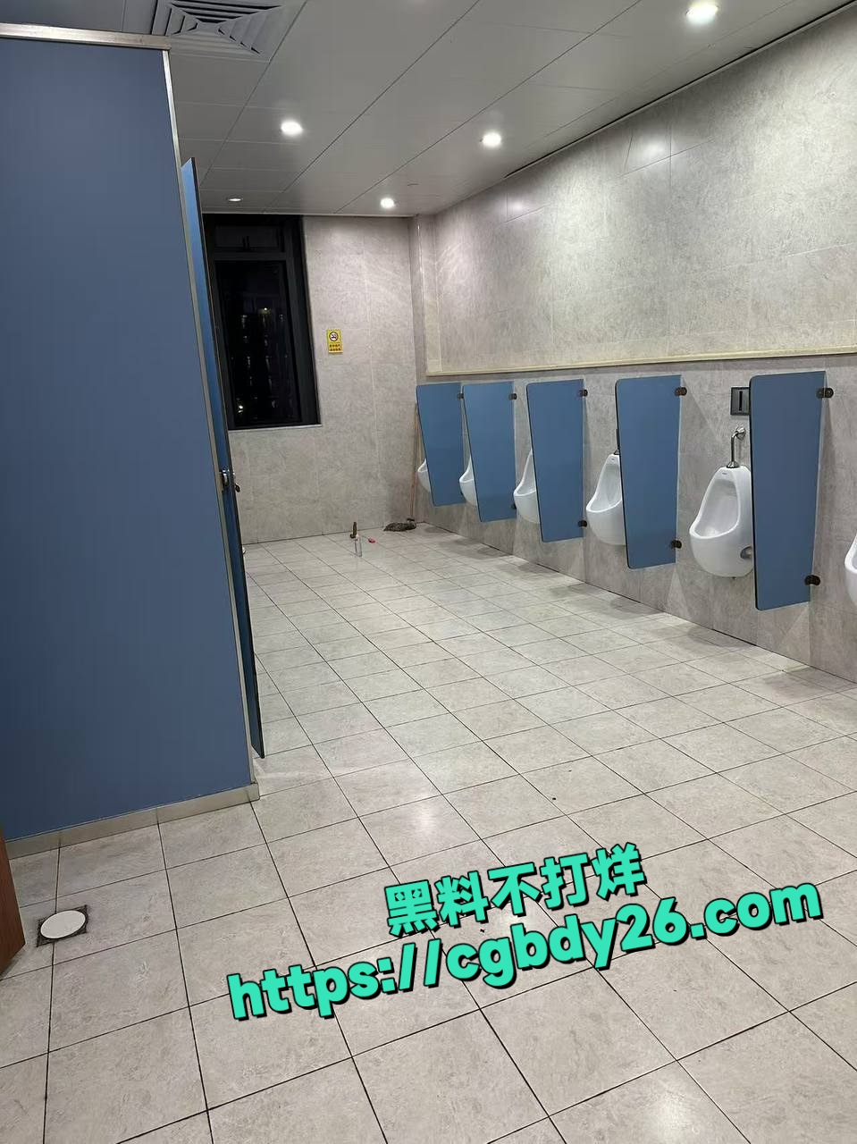 浙江工大男的穿水手服在厕所坐在假鸡巴上呻吟8