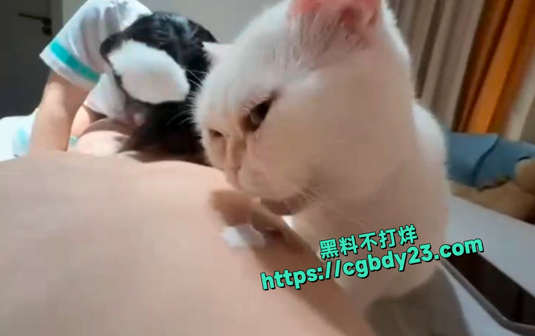 带着猫出去接客一个舔奶一个吃吊8