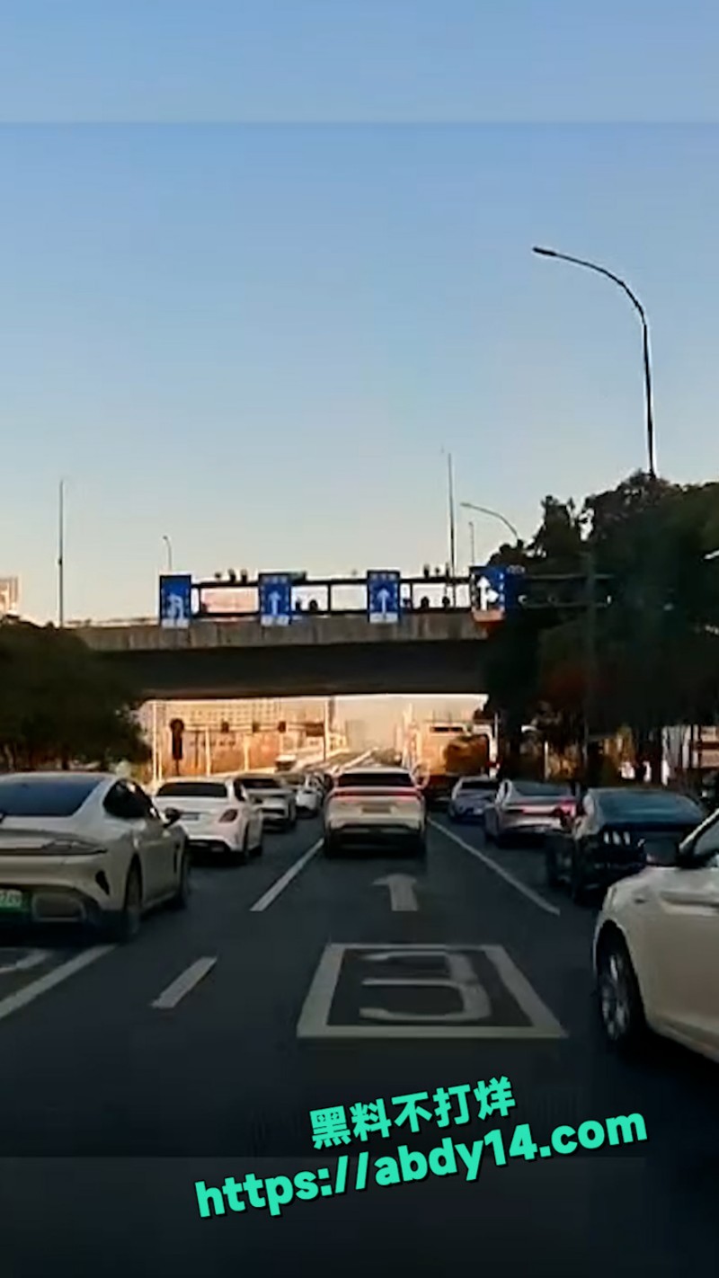 杭州母女吵架吃瓜 4