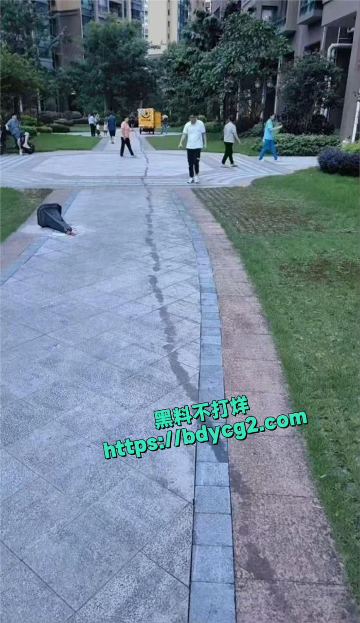 广州市清远市清城区地震3