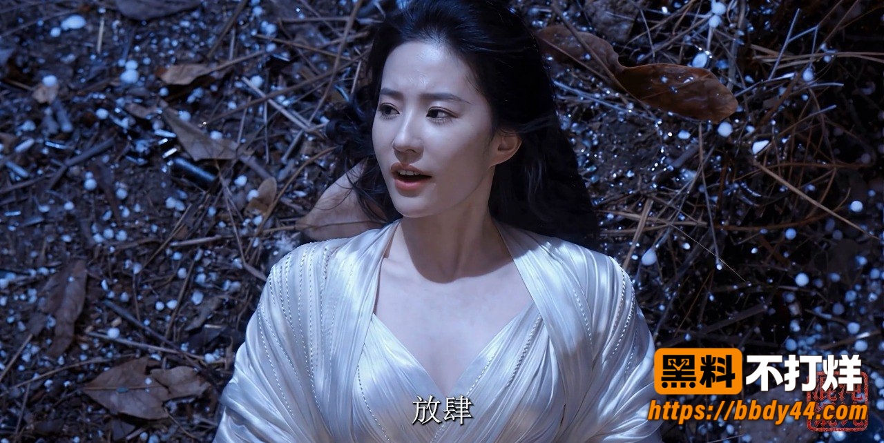 刘亦菲6