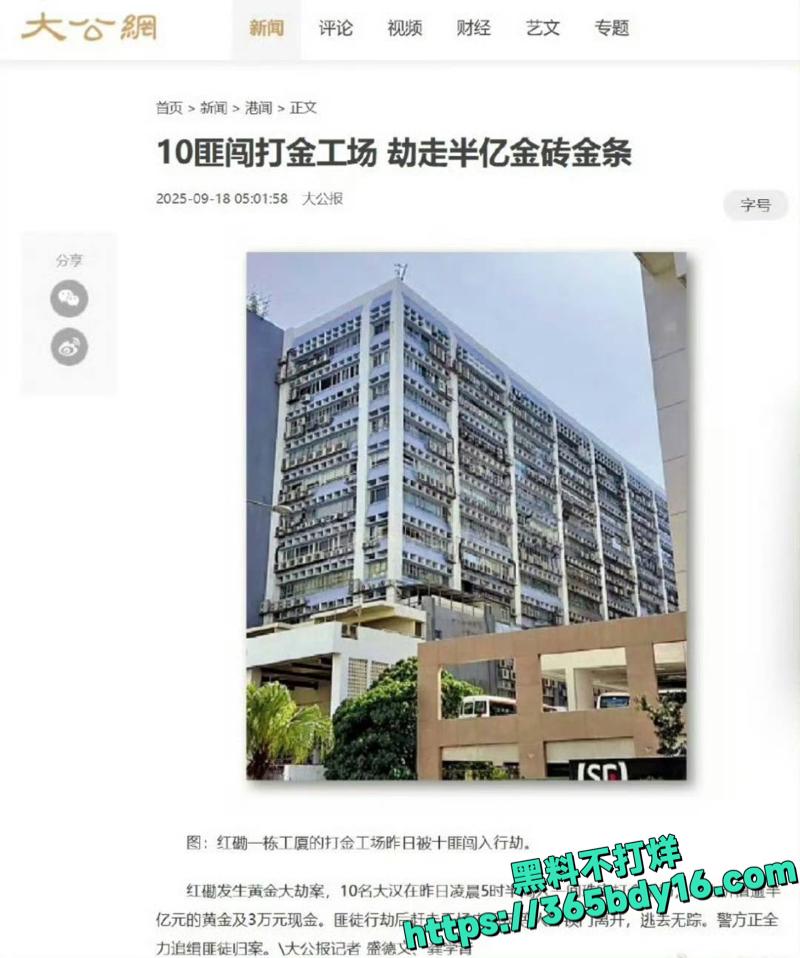 17悍匪抢走65公斤黄金6.