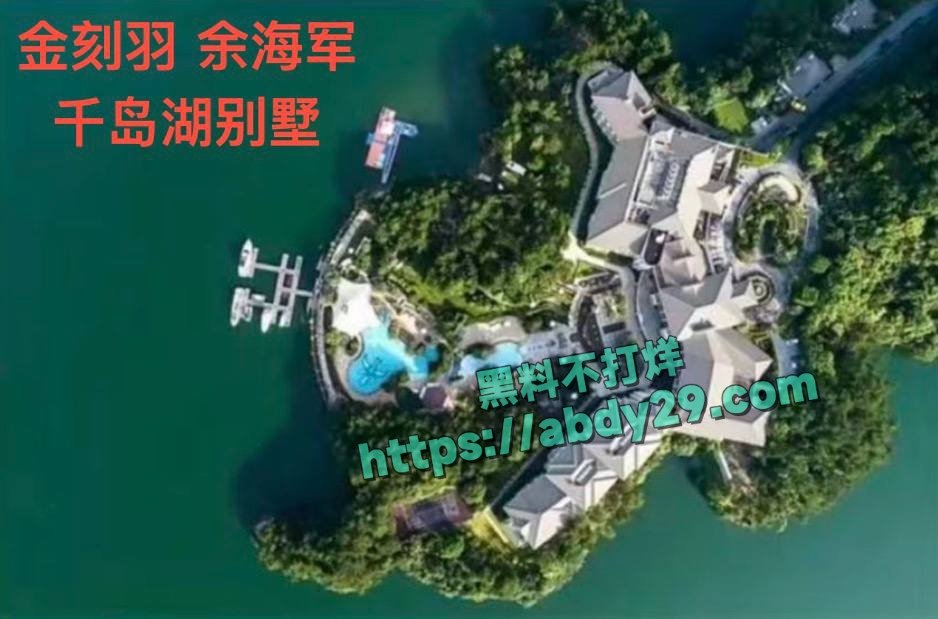 哈佛博士金刻羽与浙商余海军婚外情 13
