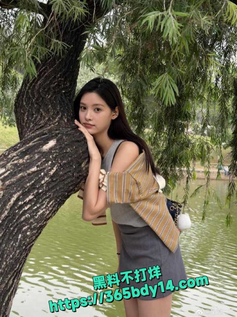 小三张艺上4