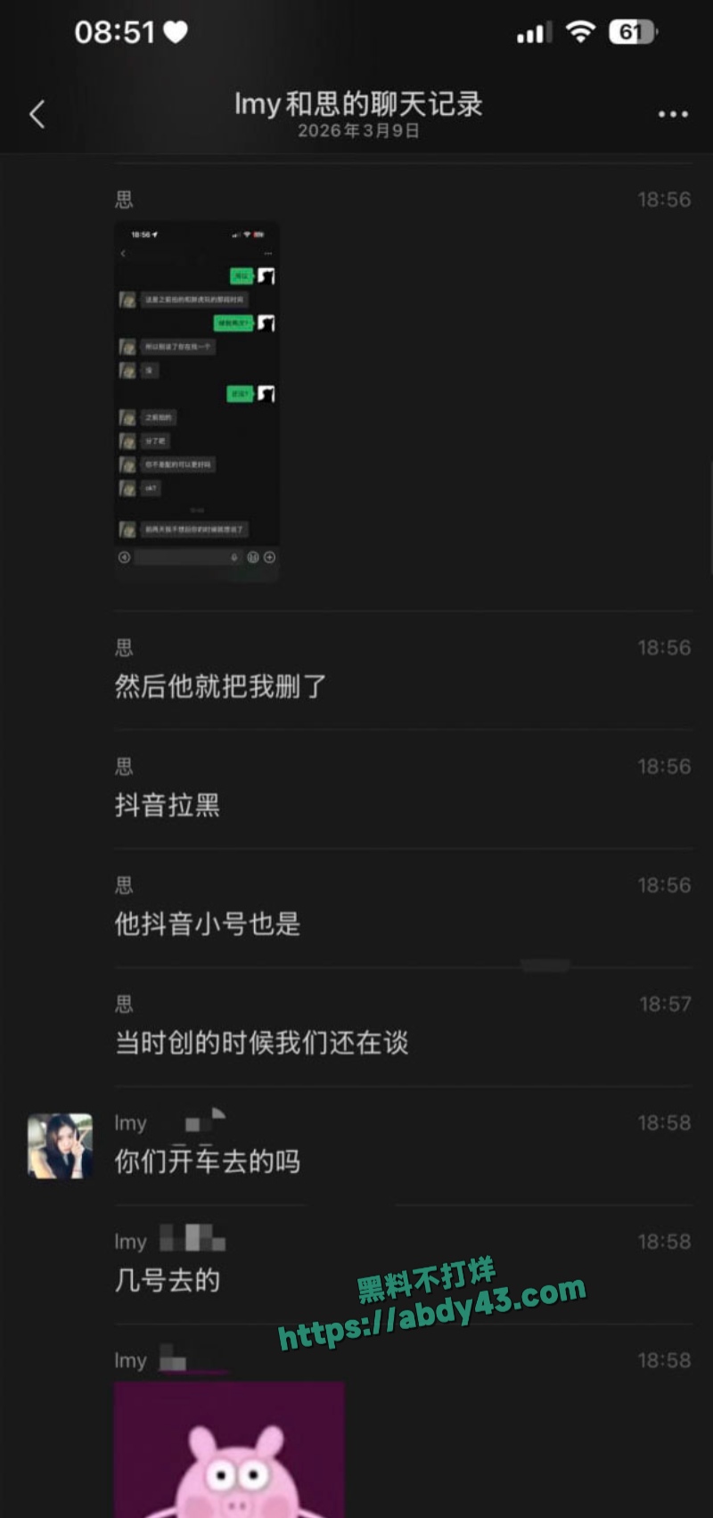 武汉W车队不吃猪肝 17
