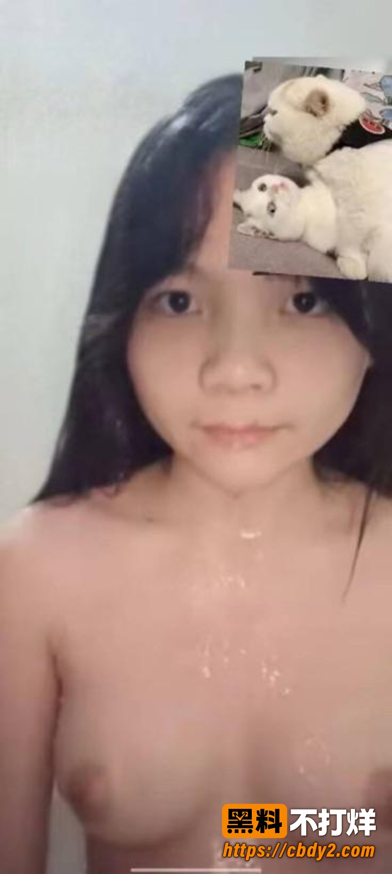 骆丽珠 12