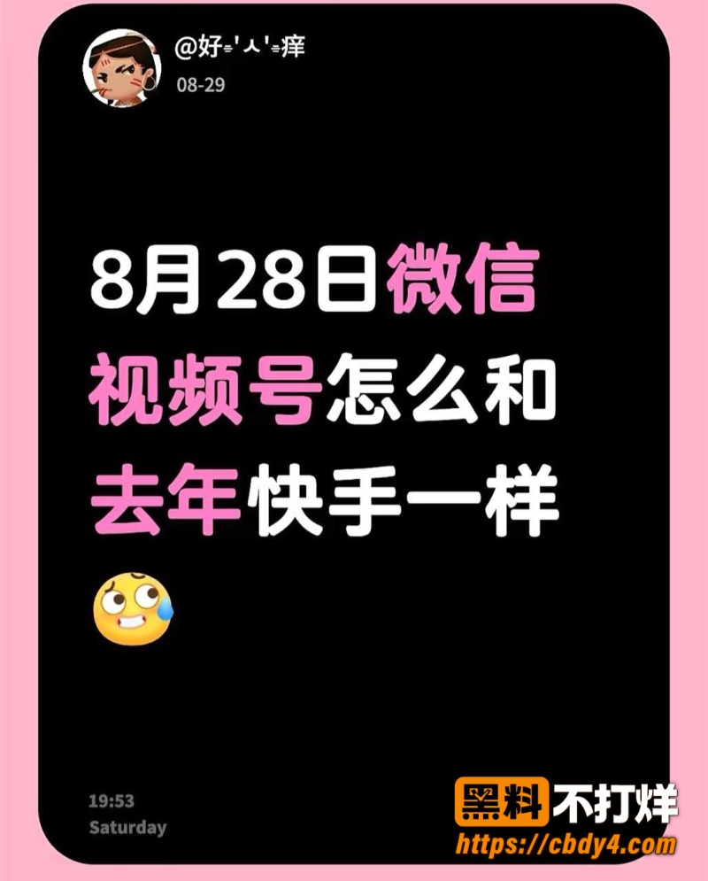 8月28日微信视频号6