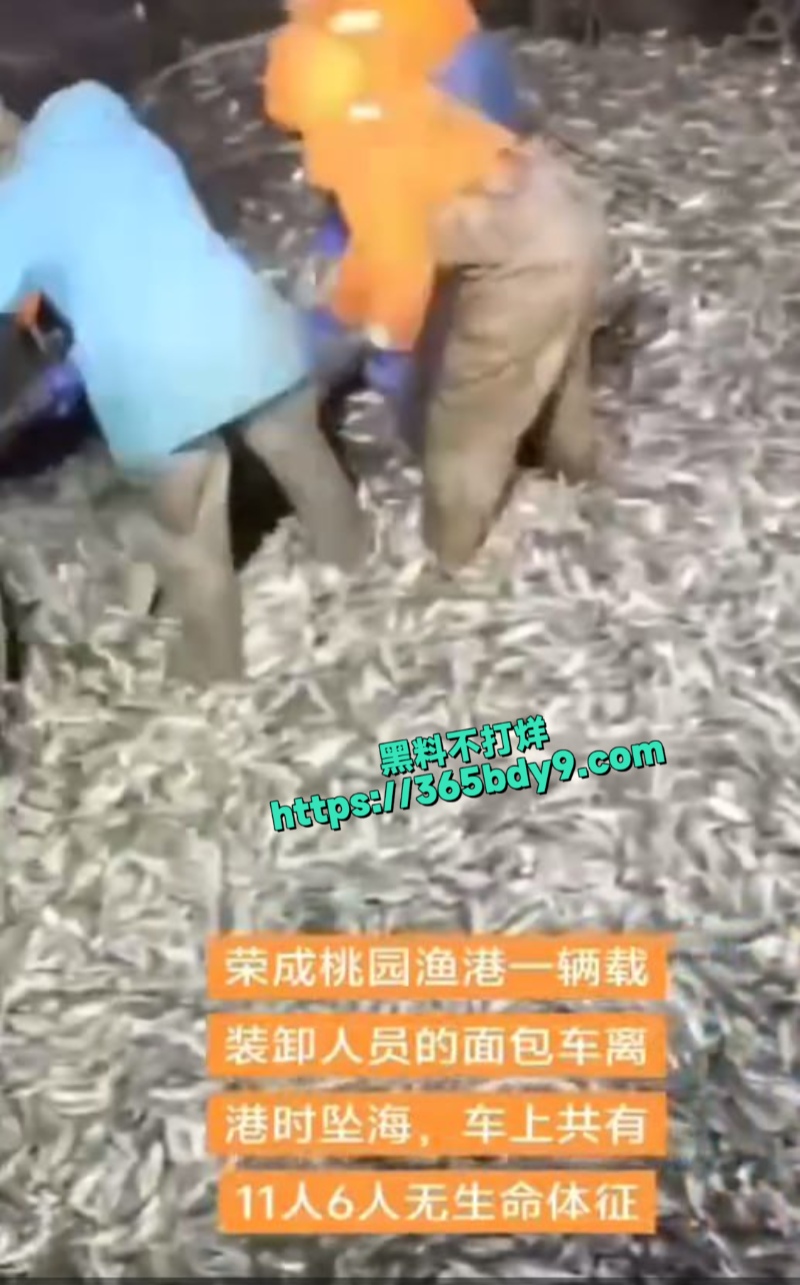 山东荣成市桃园渔港大事故3