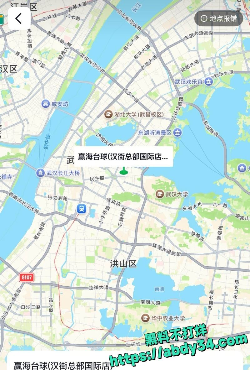 湖北武汉赢海台球助教春节不歇业 4