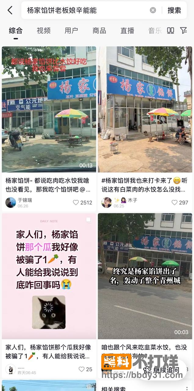 杨家馅饼老板娘辛能能7