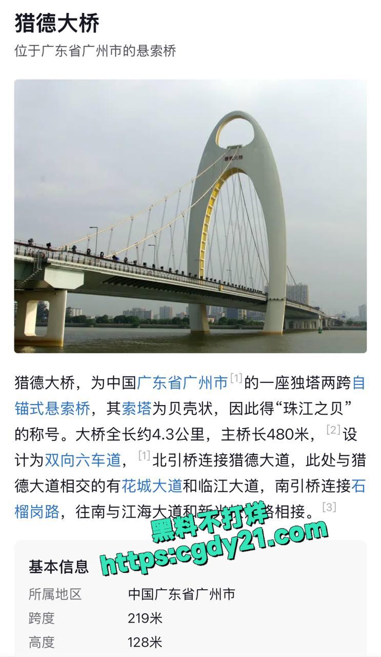 广州猎德大桥男子意欲跳桥1