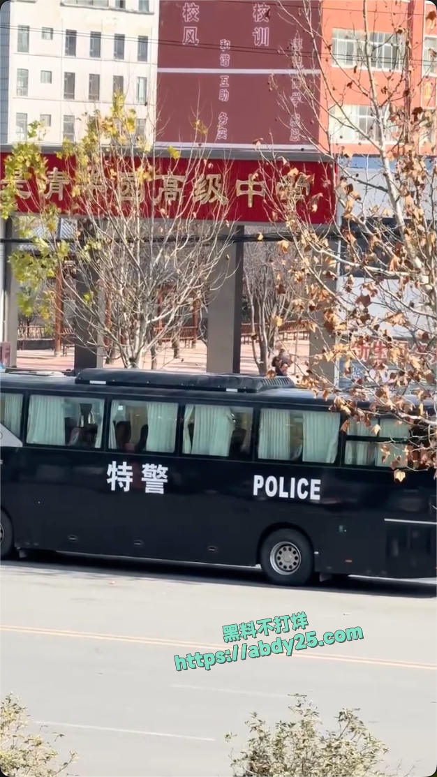 河南驻马店今是清华园学校霸凌事件 5