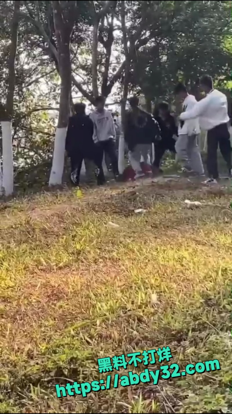 精神小伙团架霸凌 7