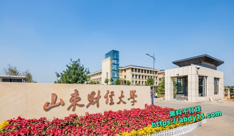 山东财经大学1