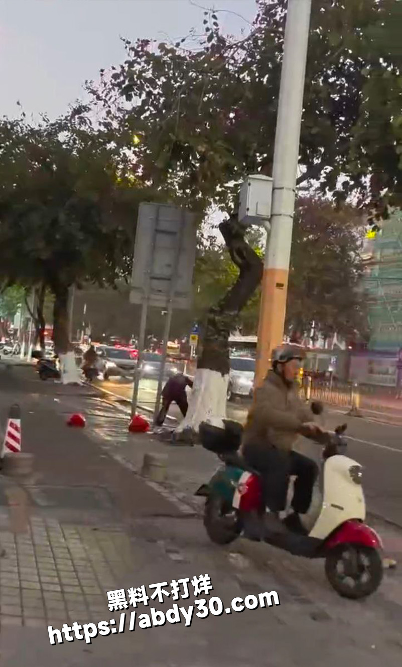 真是特么老不死的啊4