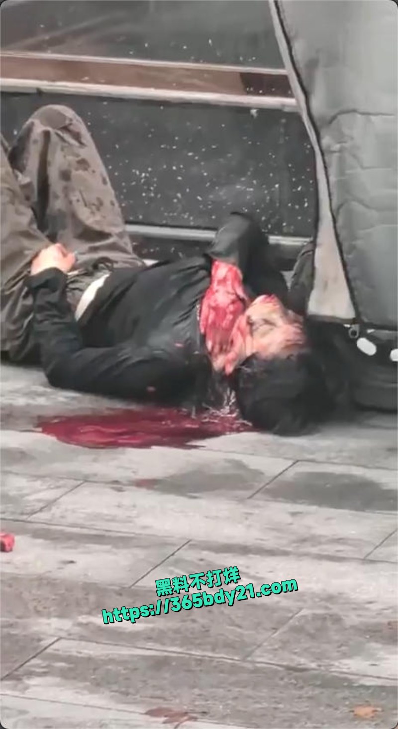 河南郑州恶性杀人案 9