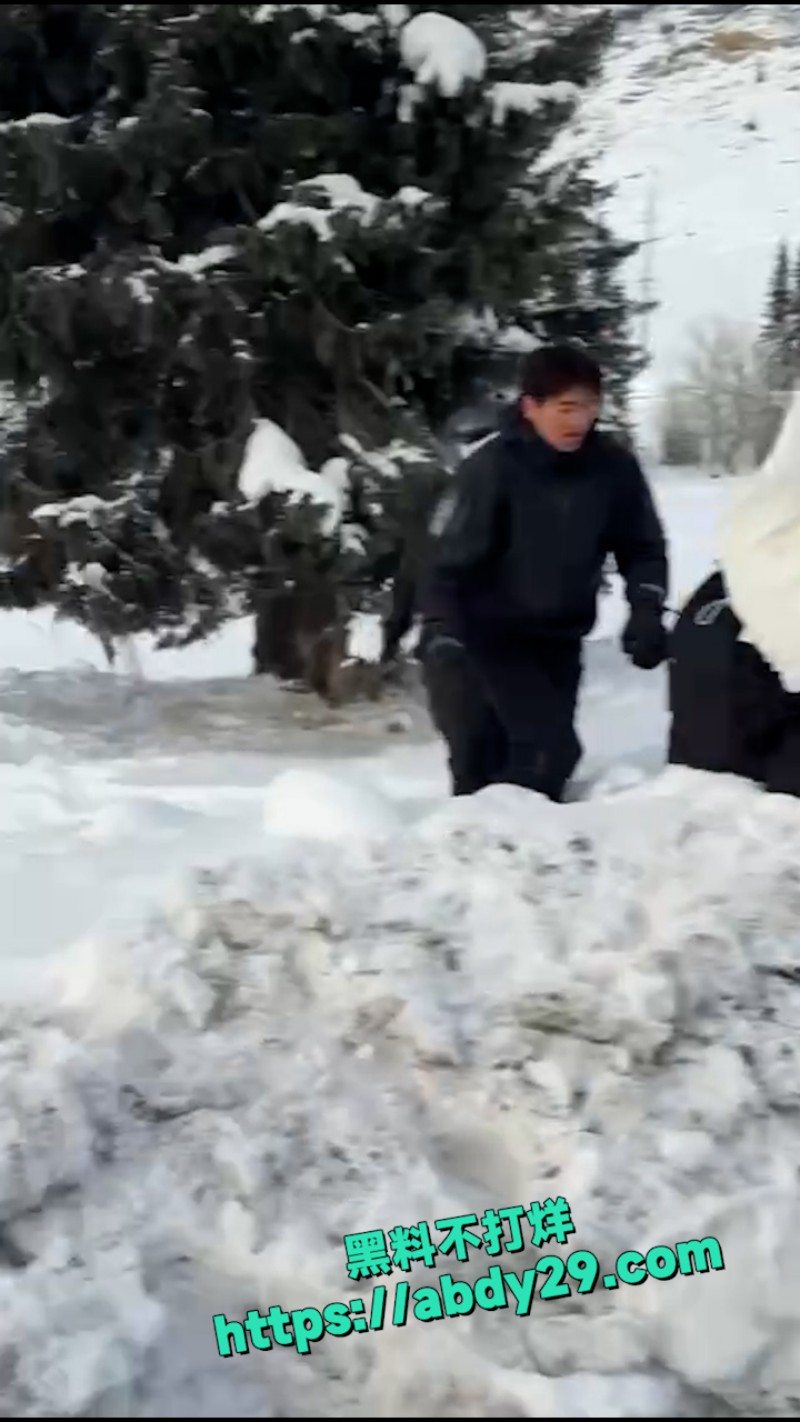 新疆可可托海发生雪豹伤人事件 2