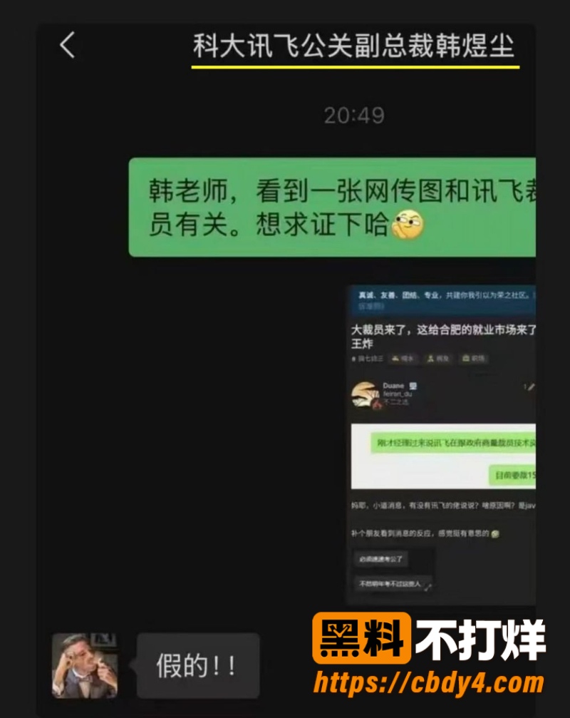 科大讯飞公关副总韩煜尘 11