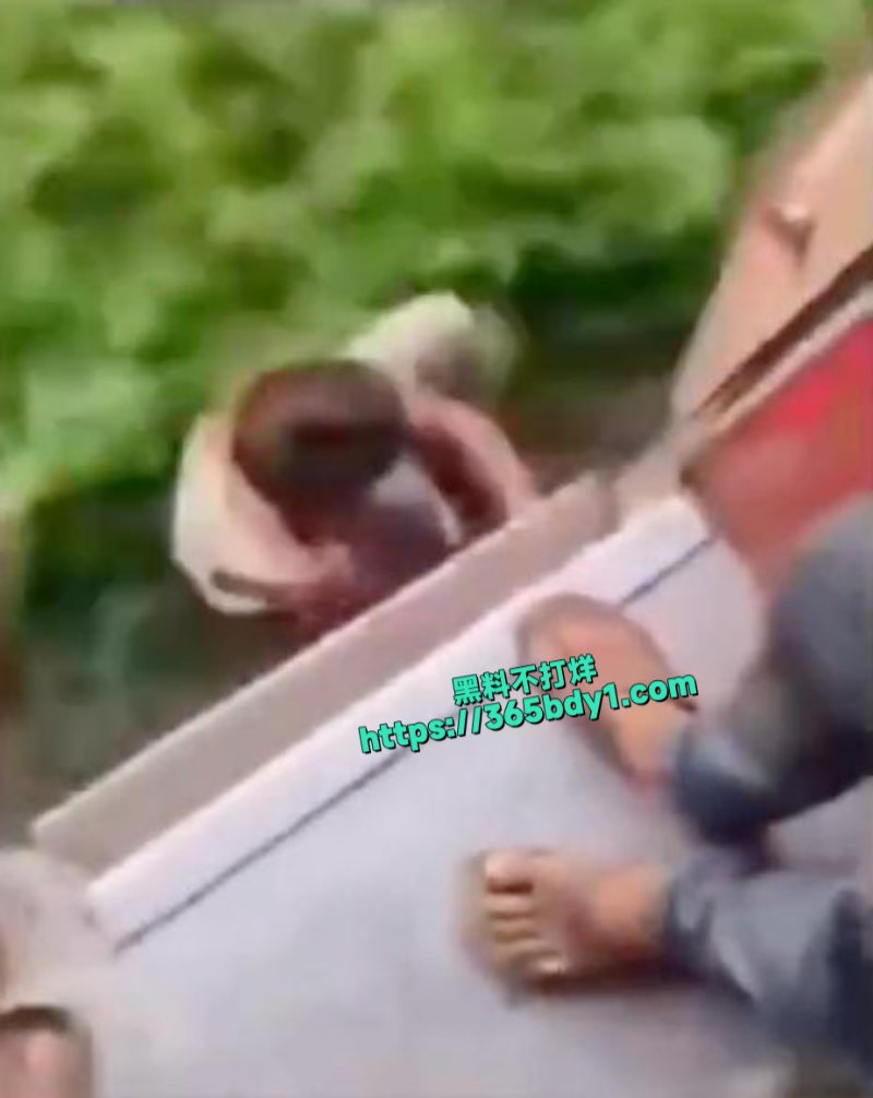 小偷在行驶中的火车上偷手机后跳下去的视频走红7