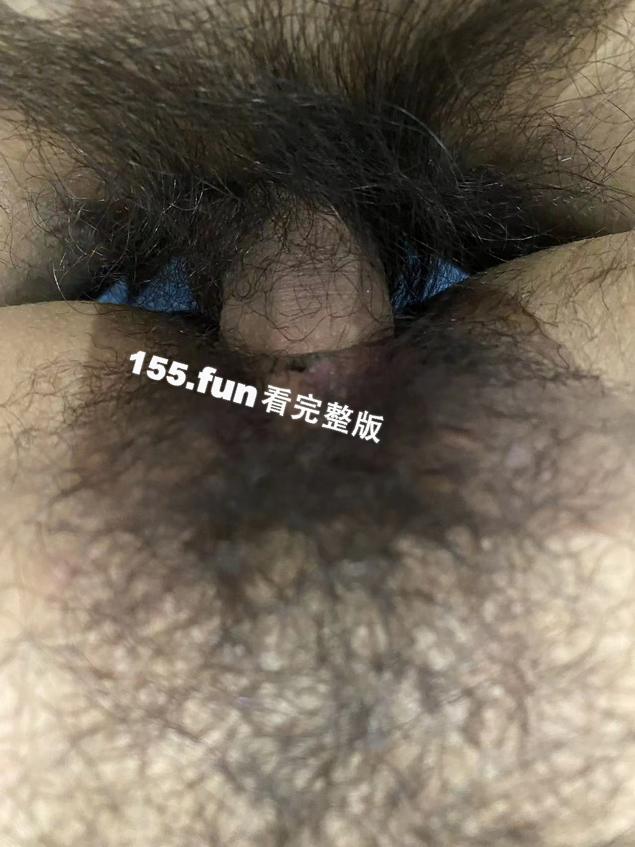 100020.jpg
