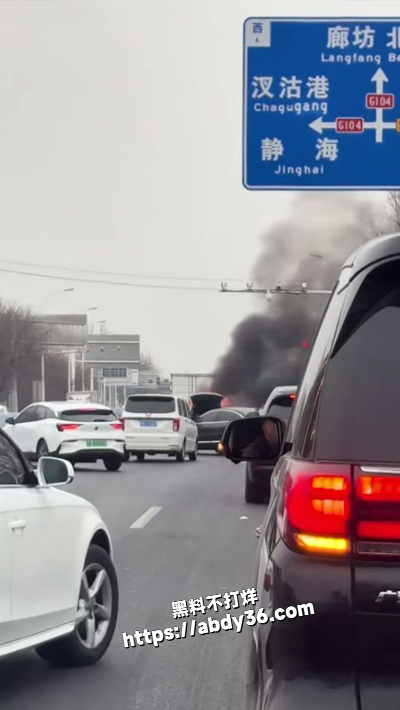 2.25日 天津新能源车着火.jpg3