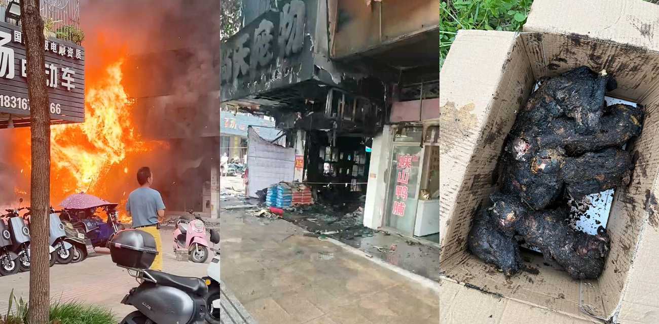 广东揭阳普宁流沙大道宠物店突发火灾 店铺焚毁宠物全部惨死现场惨烈画面流出