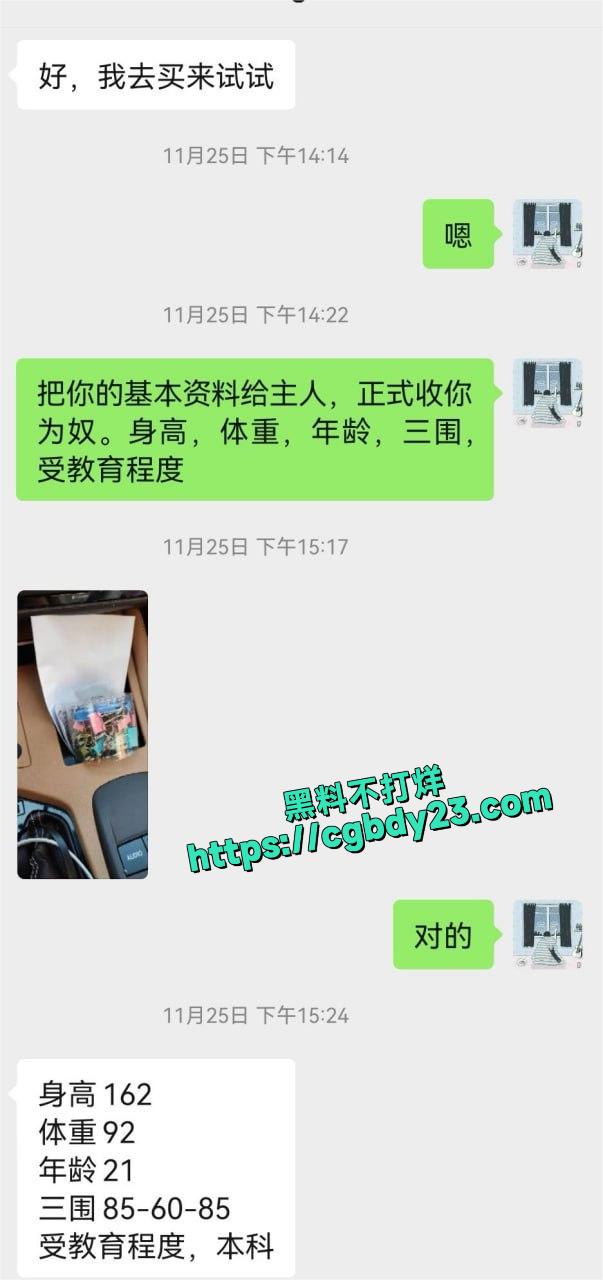 网调极品学生21
