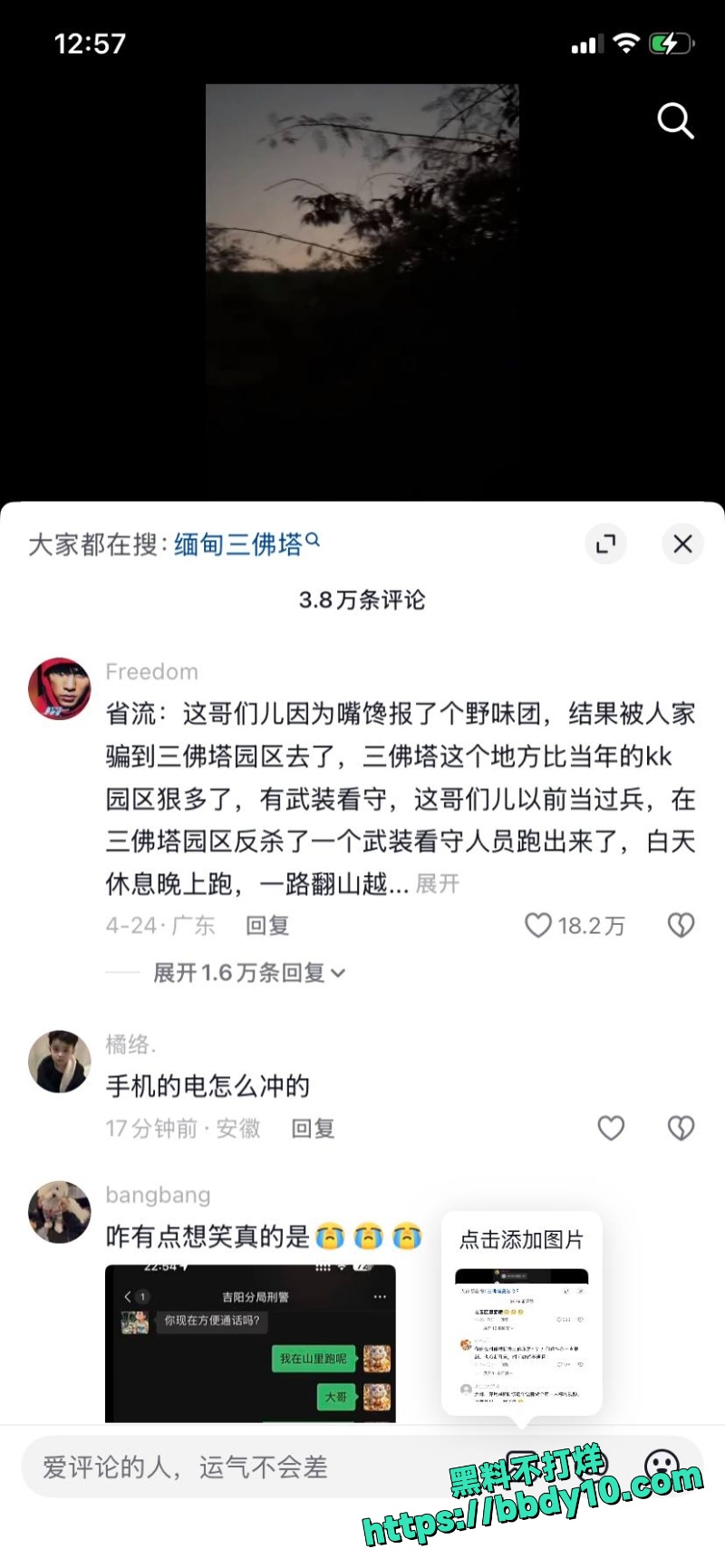 杨磊 11