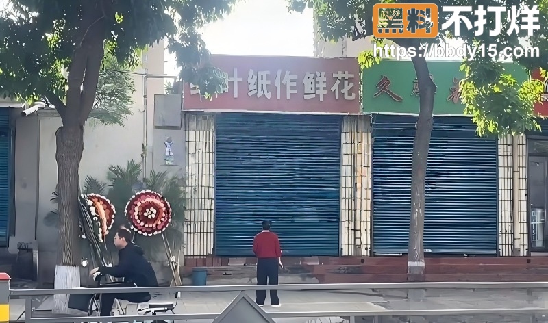 山西忻州原平绿叶纸作鲜花店3