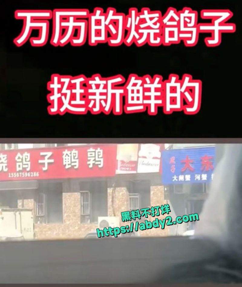 吉林白山万历烧鸽子店骚货老板窗前后入长发美女 7