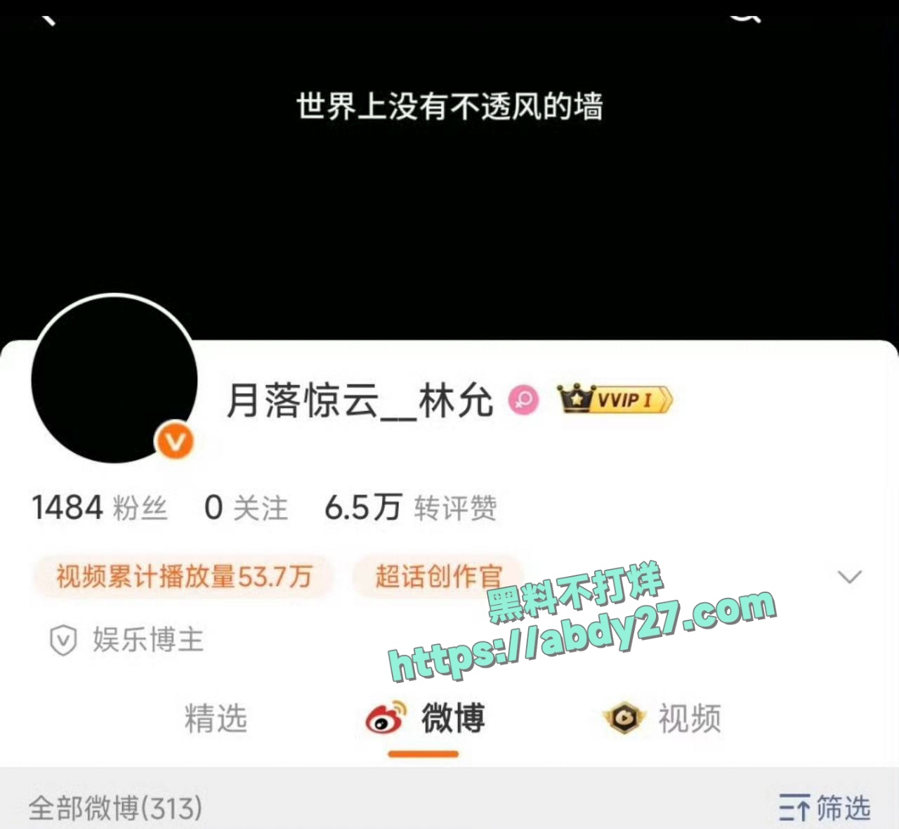 沈腾疑似出轨星女郎林允 10