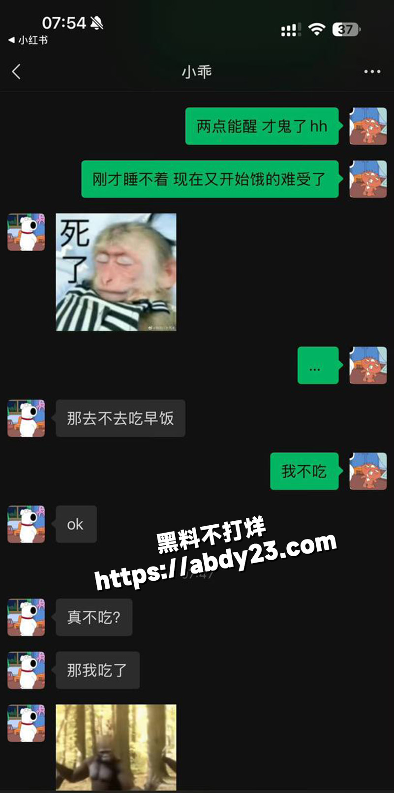全网60w粉TS网红选妃睡粉13