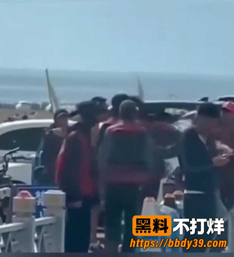 新疆赛里木湖景区工作人员围殴旅游车司机 7人被带走 现场混乱引发热议